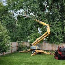 Reliable Uintah, UT  Tree Services Solutions